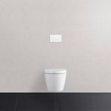 Duravit DuraSystem Betätigungsplatte mechanisch für WC, Kunststoff